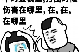 清浦清浦的要账公司在催收过程中的策略和技巧有哪些？